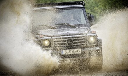 Fotogalerie: Mercedes-Benz G 350d Professional (2017)