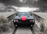 Dodge Challenger Rally Redline